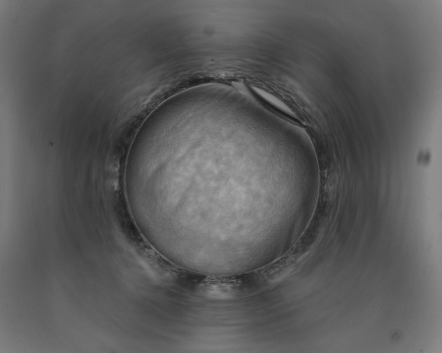X0000090630368200707311310