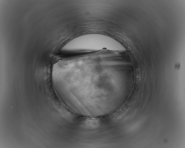 X0000090630369200707311310