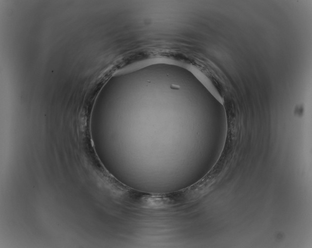X0000090630372200707311311