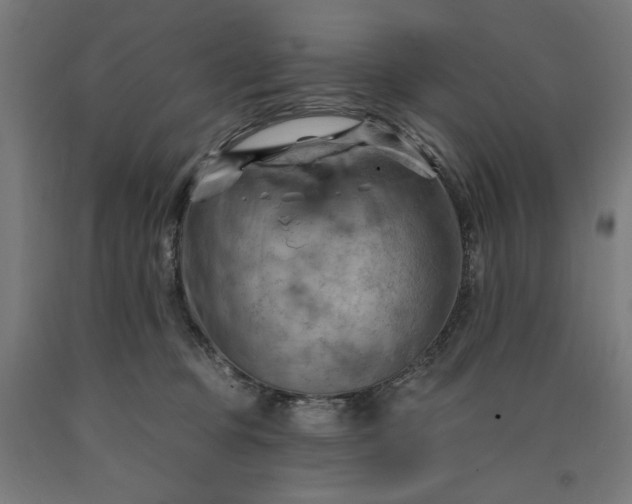 X0000090630373200707311311