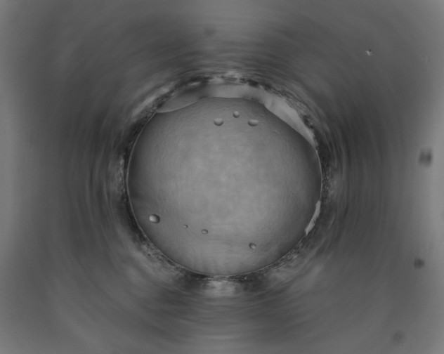 X0000090630376200707311311