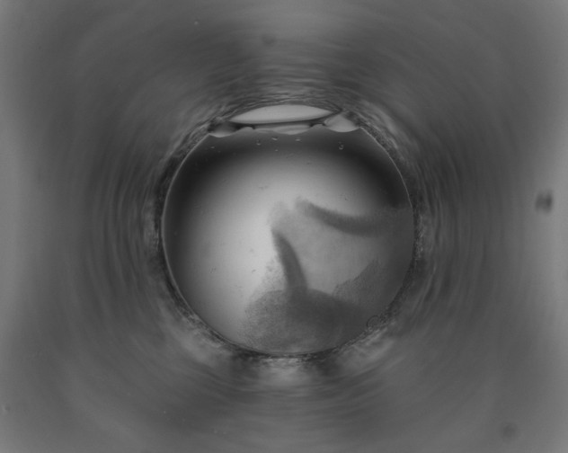 X0000090630377200707311311