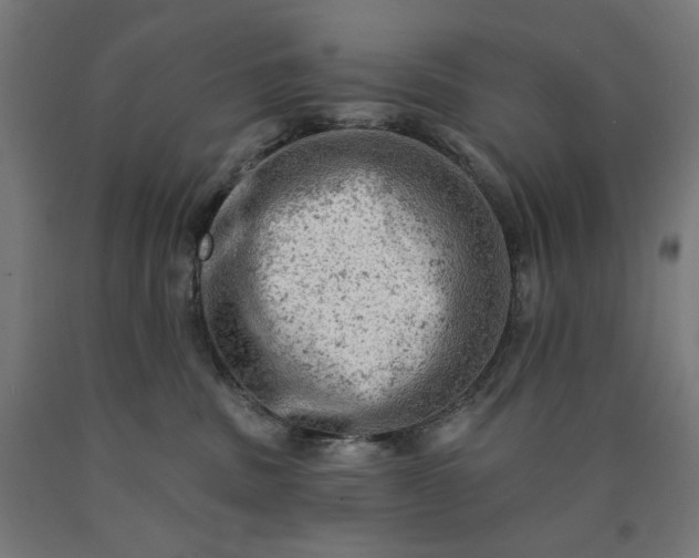 X0000090630379200707311311