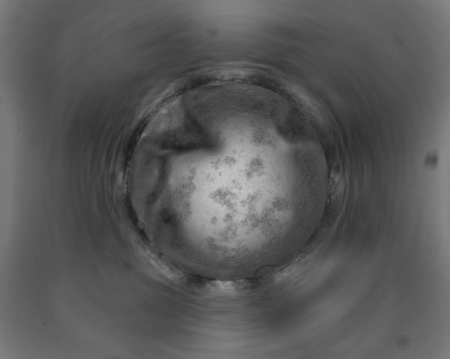 X0000090630381200707311311