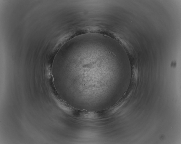 X0000090630383200707311311