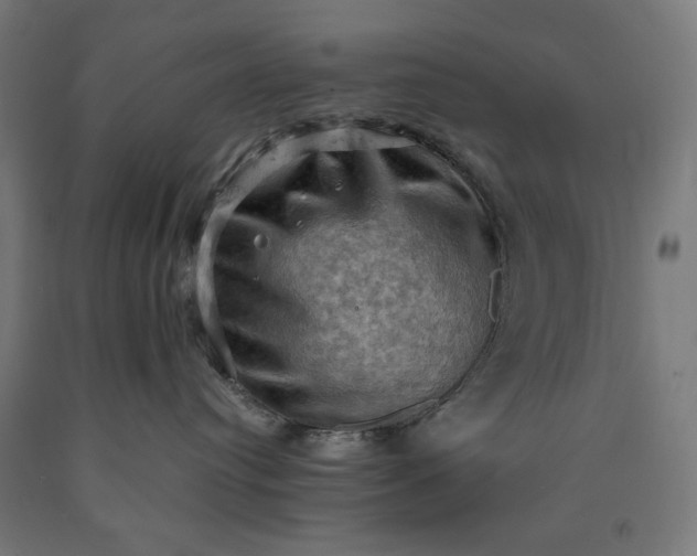 X0000090630384200707311311