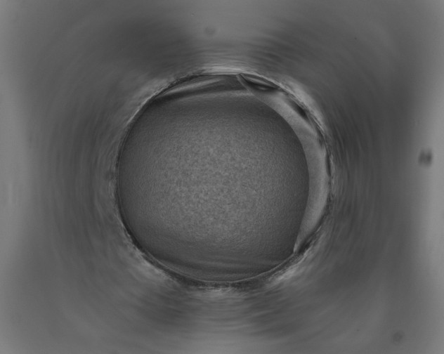 X0000090630385200707311310