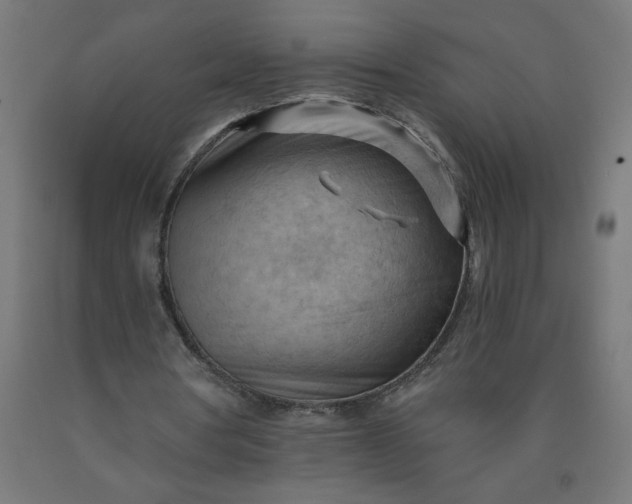 X0000090630386200707311310