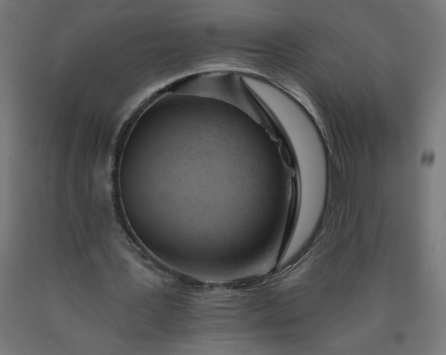 X0000090630387200707311310