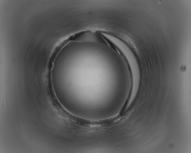 X0000090630388200707311310