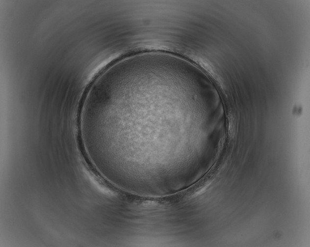X0000090630390200707311310