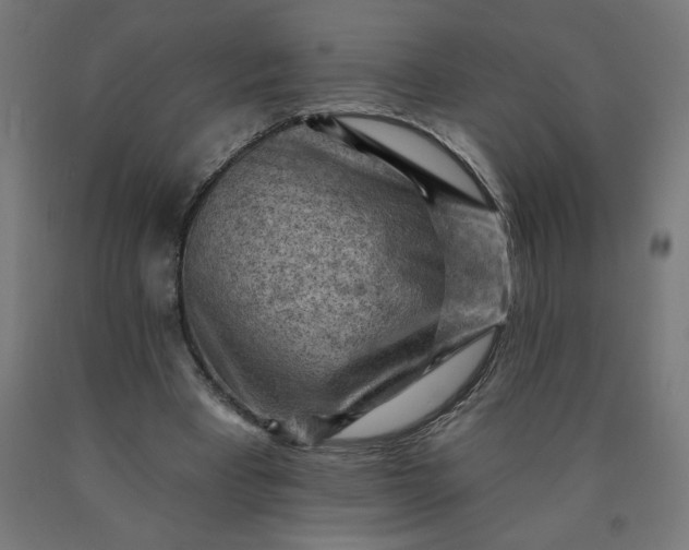X0000090630393200707311310