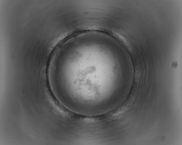 X0000090630394200707311310