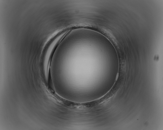 X0000090630395200707311310