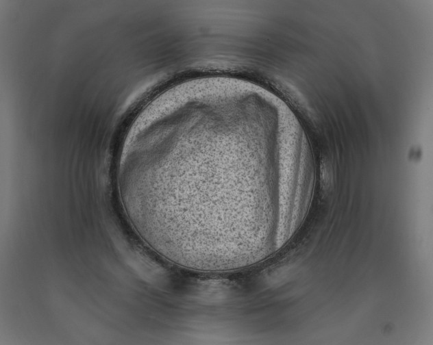 X0000090630396200707311310