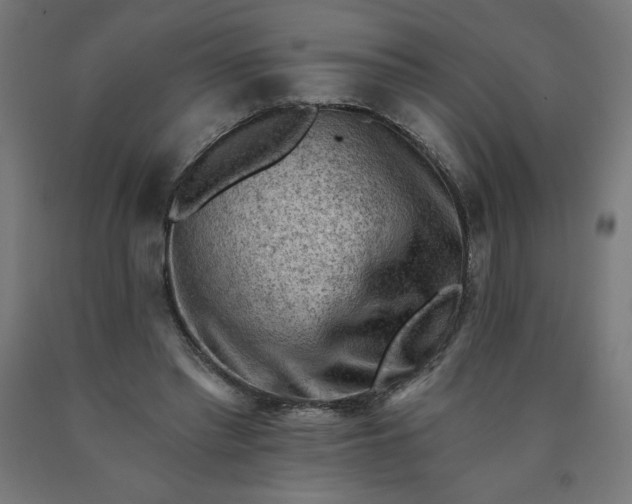 X0000090630397200707311310