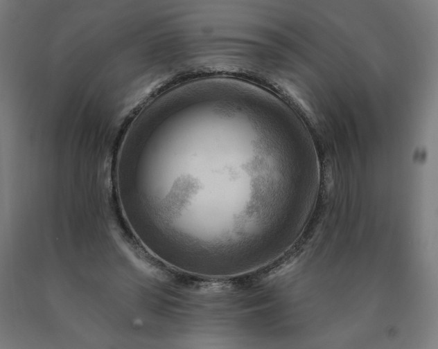 X0000090630398200707311310