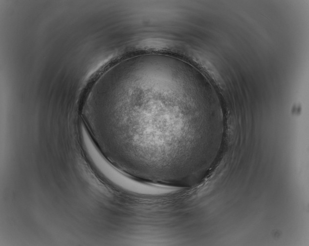 X0000090630399200707311310