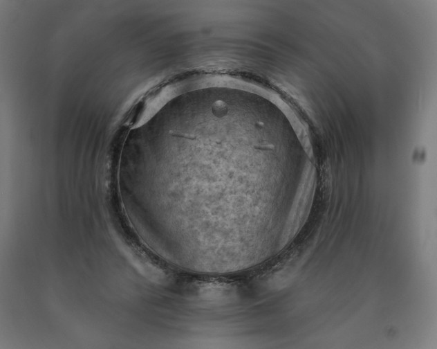 X0000090630400200707311310
