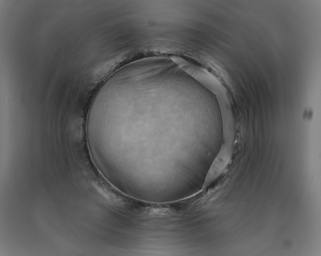 X0000090630401200707311310