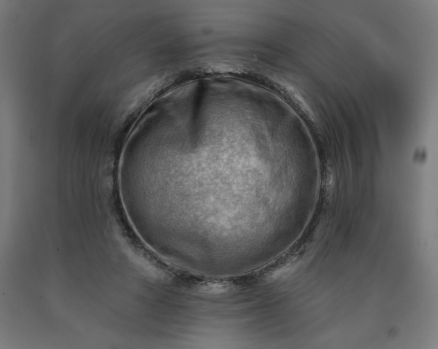 X0000090630402200707311310