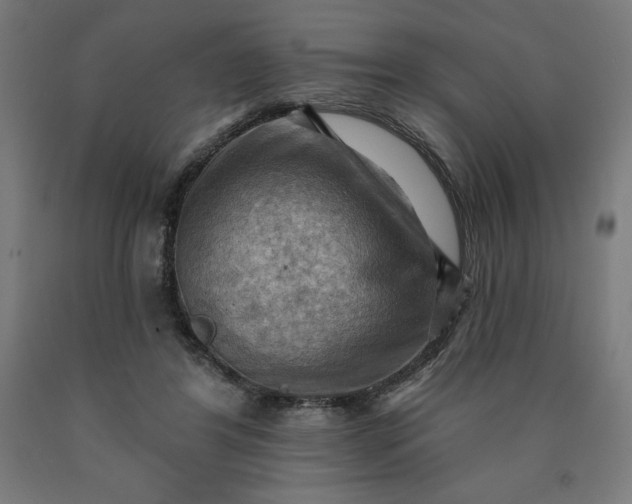 X0000090630404200707311310