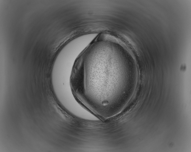 X0000090630405200707311310