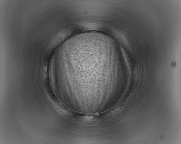 X0000090630406200707311310