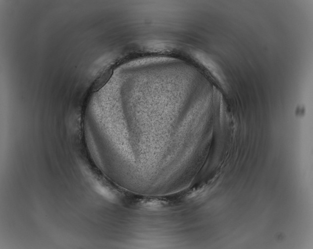 X0000090630407200707311310