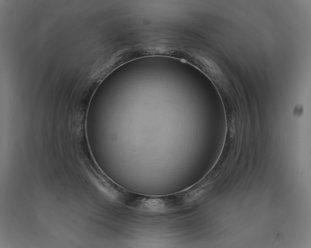 X0000090630409200707311310