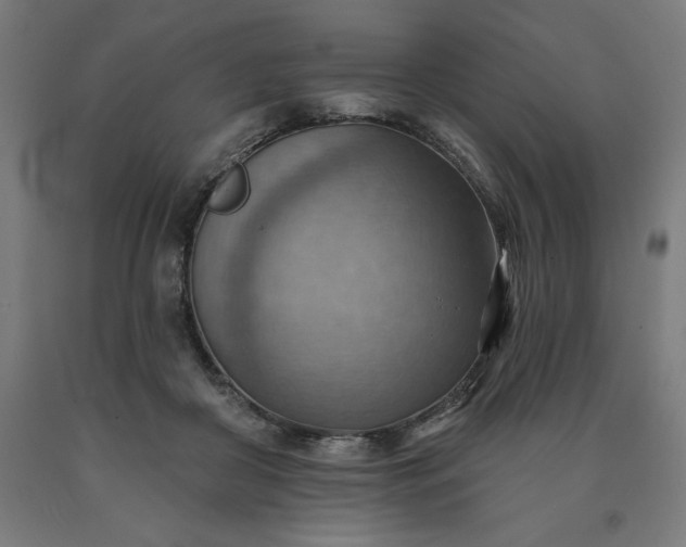 X0000090630410200707311310