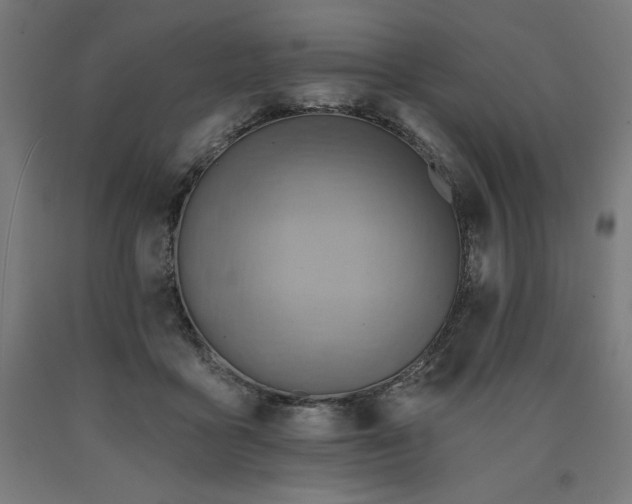 X0000090630411200707311310