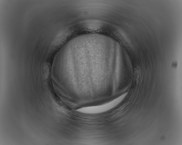 X0000090630412200707311310