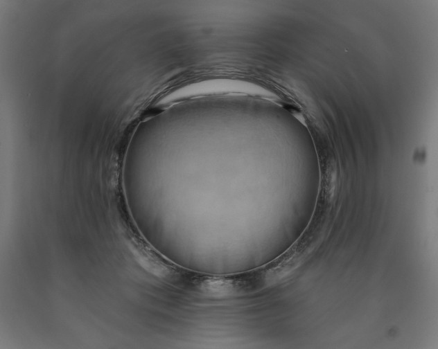 X0000090630413200707311310
