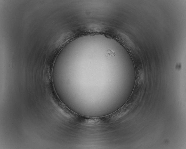X0000090630414200707311310