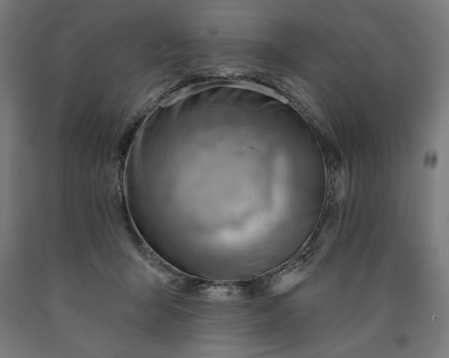 X0000090630415200707311310