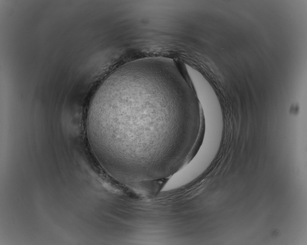 X0000090630416200707311310