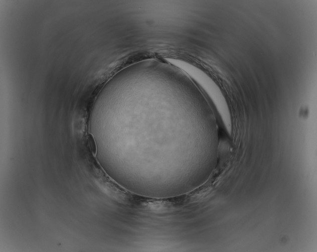 X0000090630417200707311310