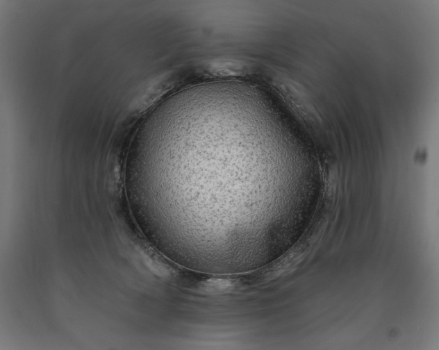 X0000090630418200707311309