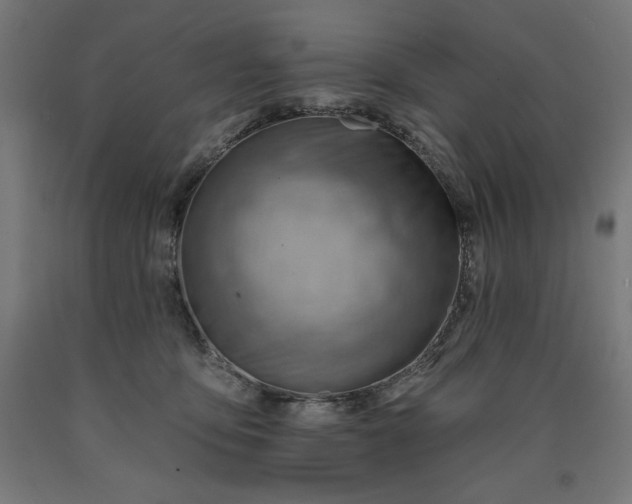 X0000090630419200707311309
