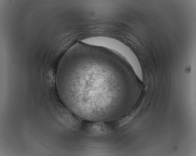 X0000090630420200707311309