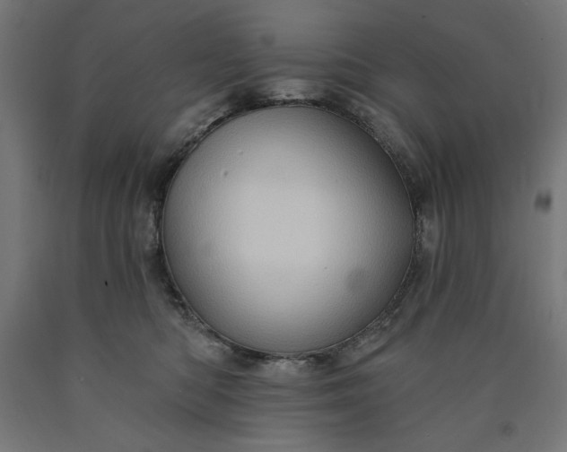 X0000090630422200707311309