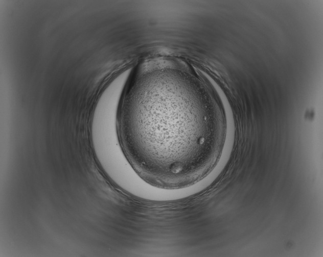 X0000090630423200707311309