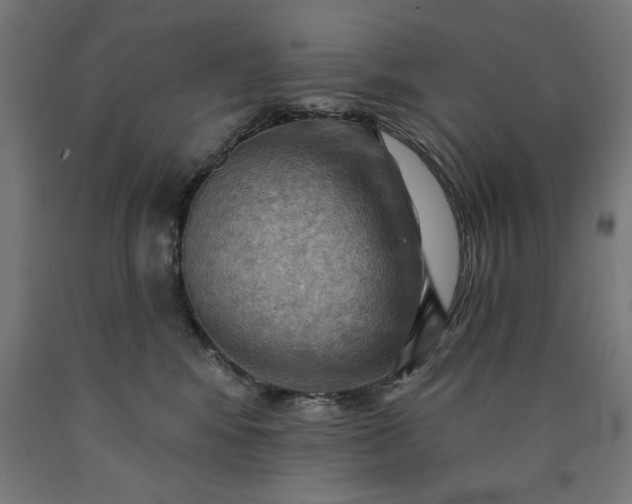X0000090630424200707311309