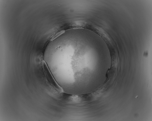X0000090630425200707311309