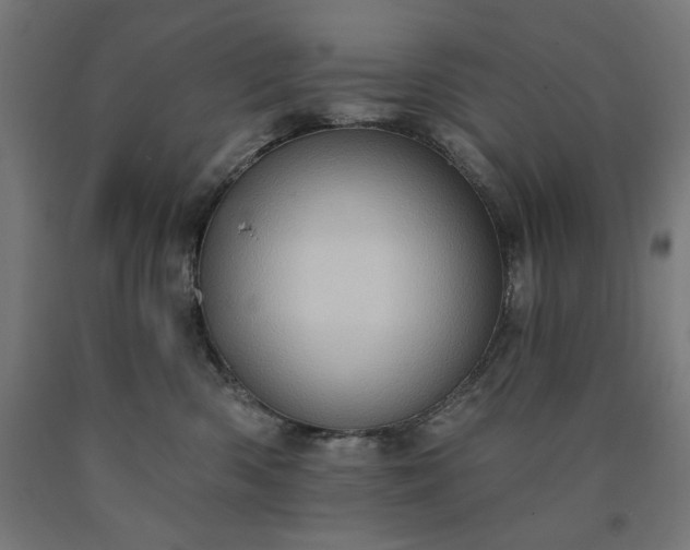 X0000090630426200707311309