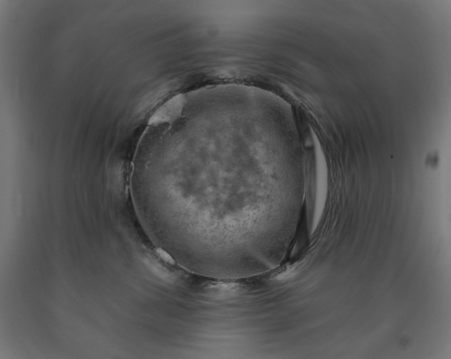 X0000090630428200707311309