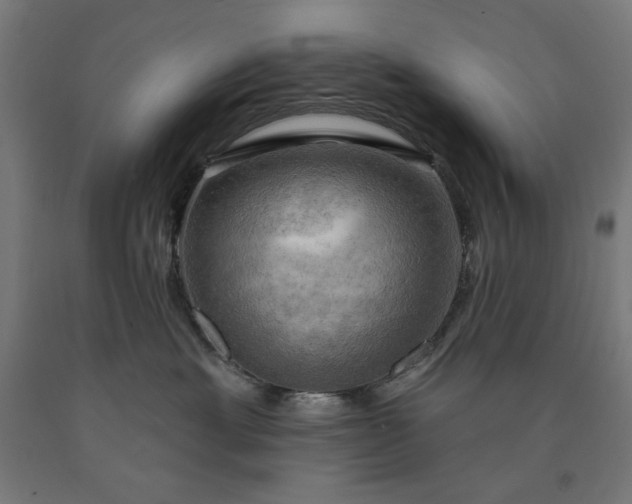 X0000090630429200707311309