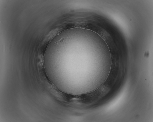 X0000090630430200707311309