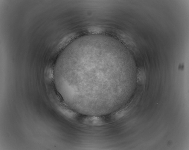X0000090630431200707311309